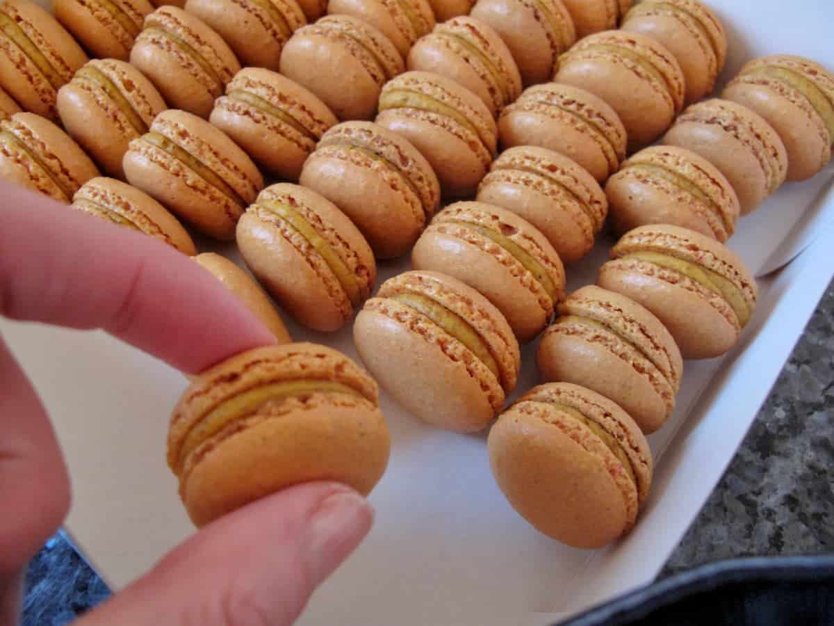 box of mini savoury curry macarons