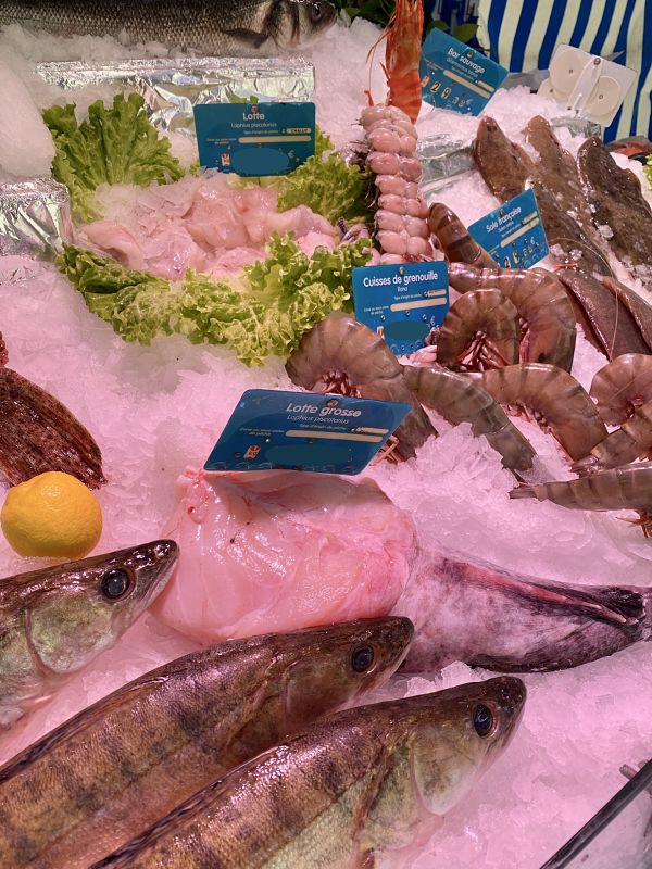 monkfish french market display