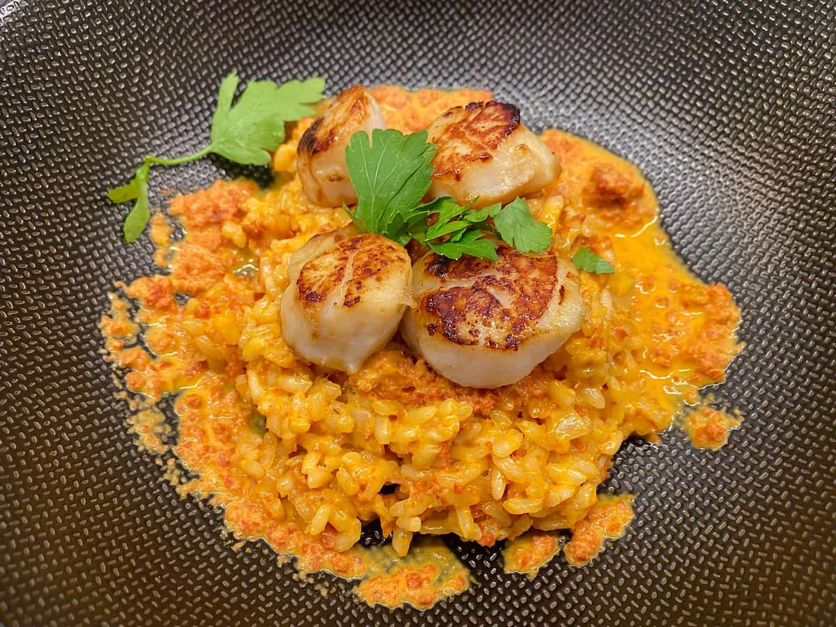 creamy orange coloured rice dish on black plate topped with golden fried scallops with parsley