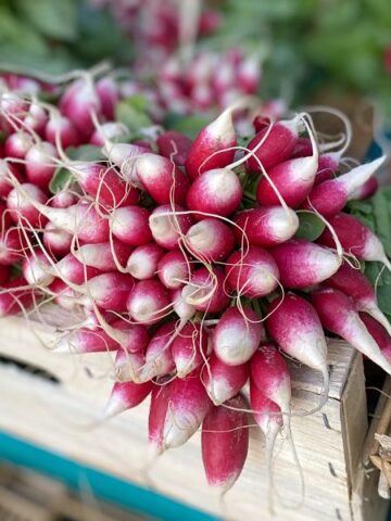 French market radishes