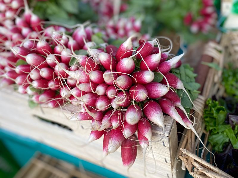French market radishes