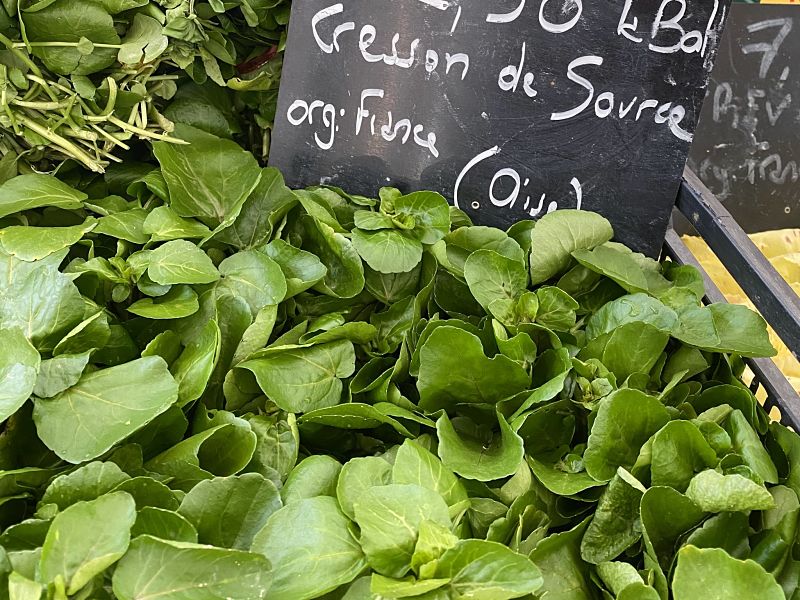 watercress at the French market