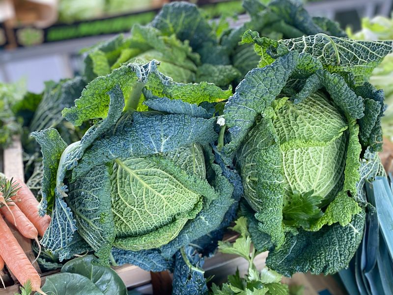 Savoy curly cabbages at the French market