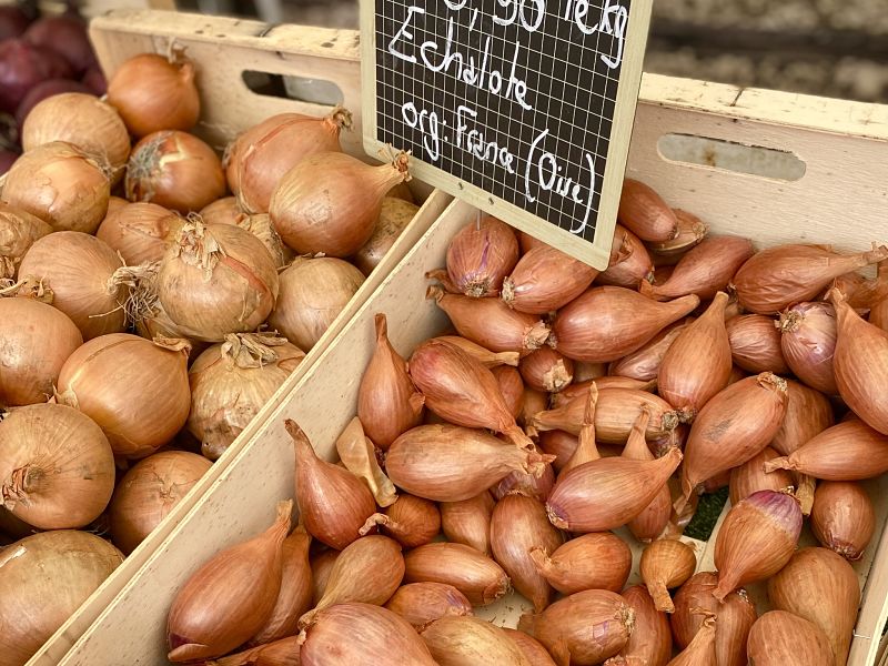 French market shallots