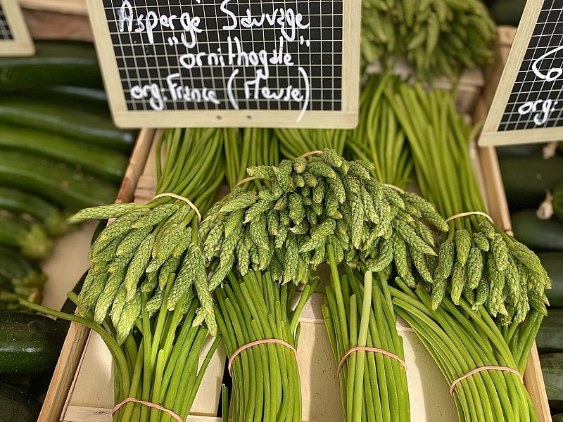 French wild asparagus at the market