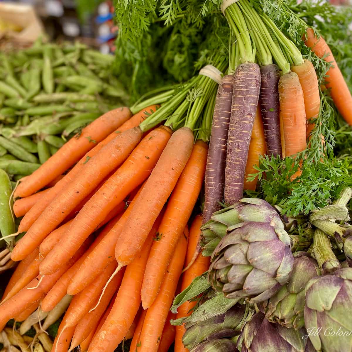 bunch of orange and mixed coloured carrots at the market