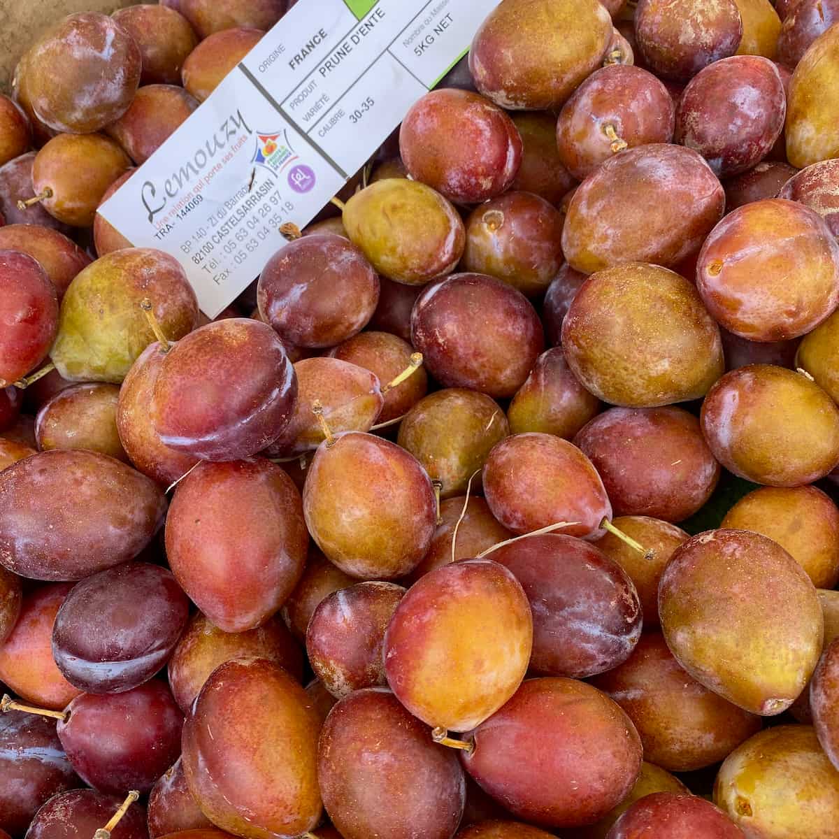 purple yellow and pink oval plums