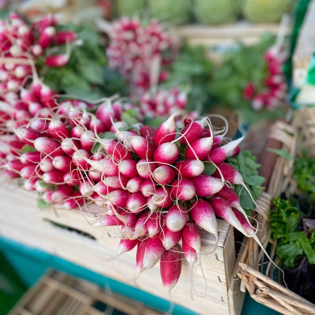 French breakfast radishes, long cylindrical pink radishes with white tips and root