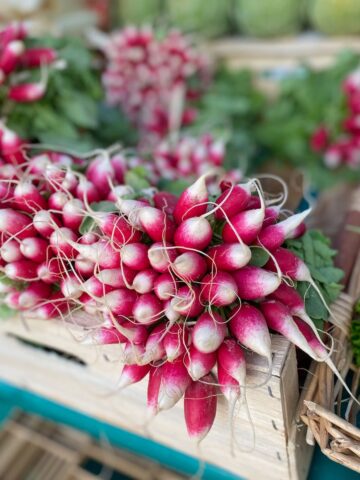 French breakfast radishes, long cylindrical pink radishes with white tips and root