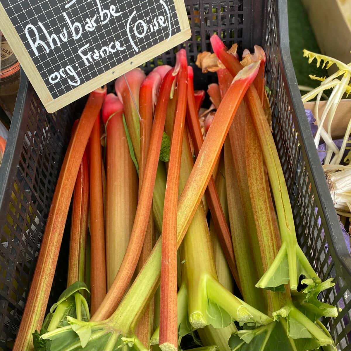 stalks of rhubarb in a crate at the market