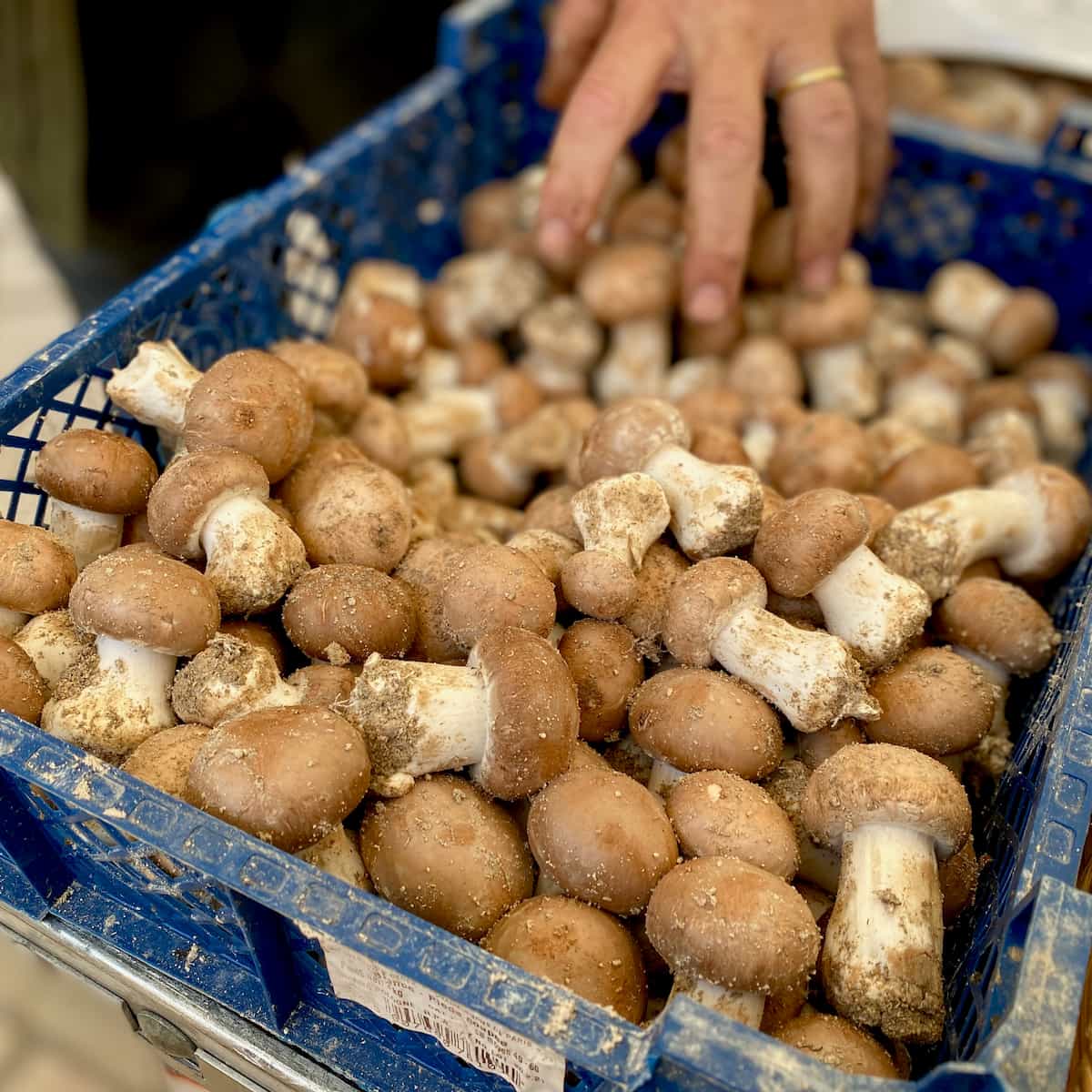 crate of Parisian chestnut mushrooms at the French market