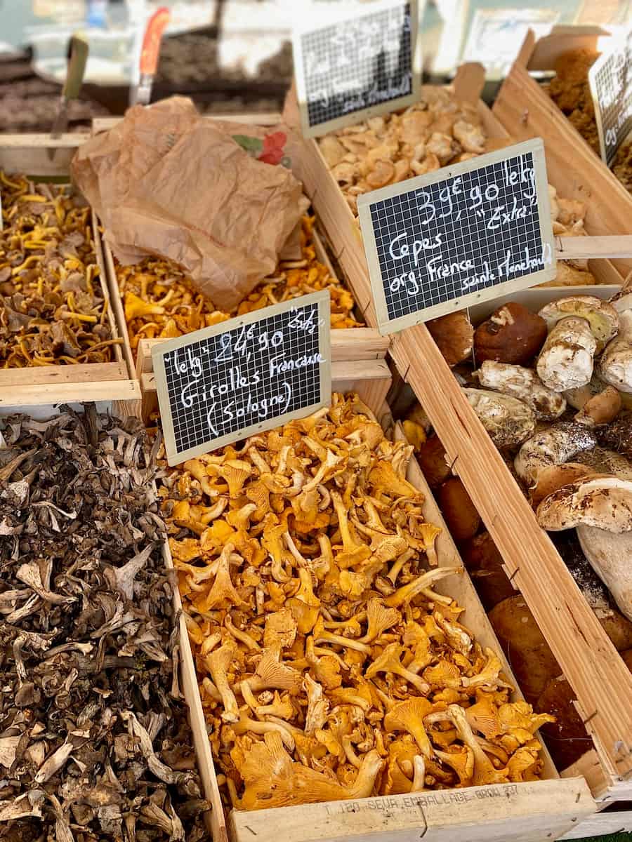 crates of girolle mushrooms, cepes and more wild varieties at the French market