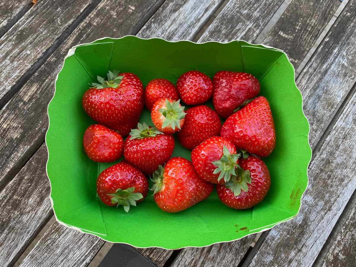 a basket with a layer of strawberries in order to best keep their freshness