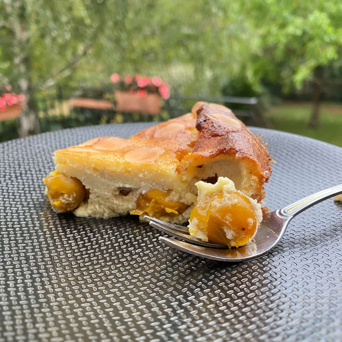 mirabelle plum clafoutis slice