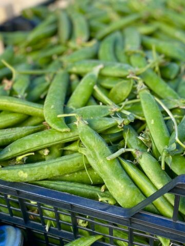crate of fresh peas in their pods at the French market