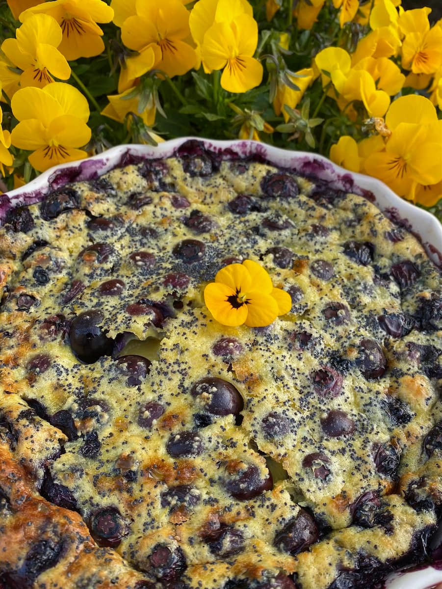 blueberry lemon clafoutis dessert