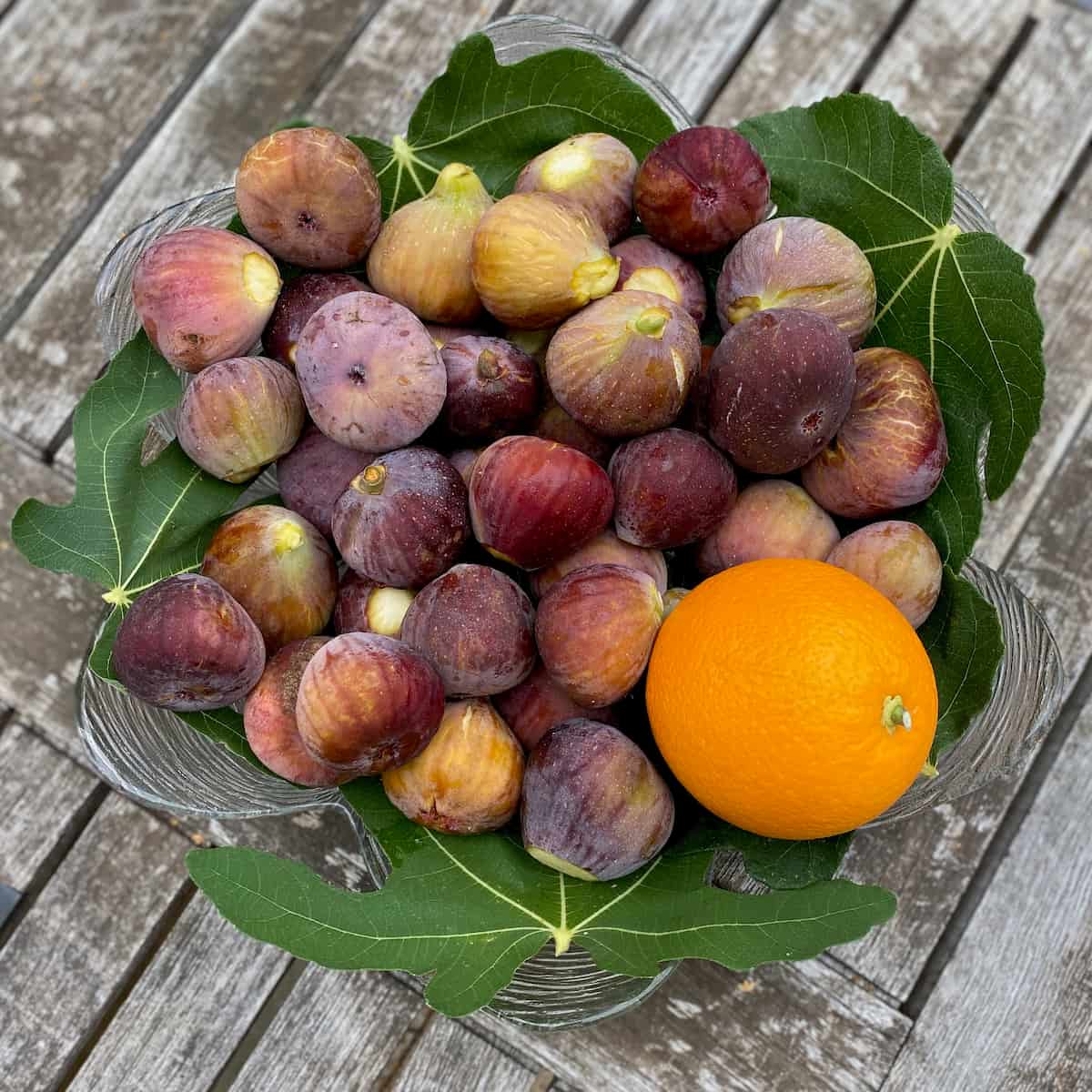 bowl of fresh figs and orange on green fig leaves