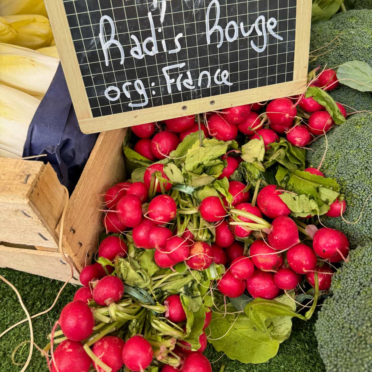 small red radishes at the French farmers' market