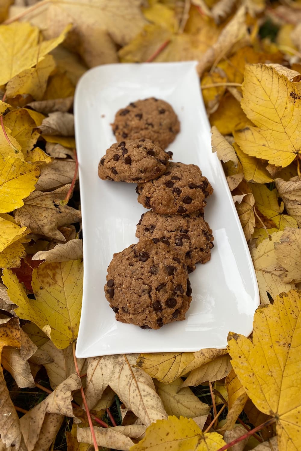 plate of chocolate chip cookies in leaves