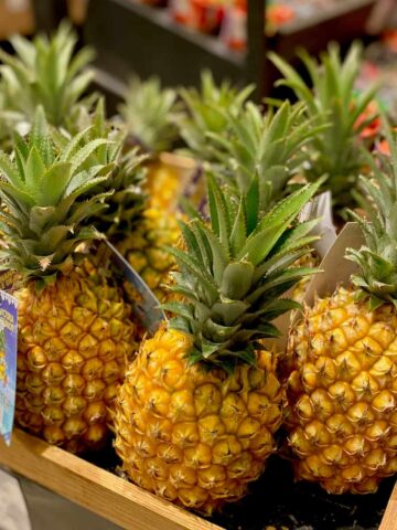 stand of pineapples with typical cone-like bodies and green spiky stalks