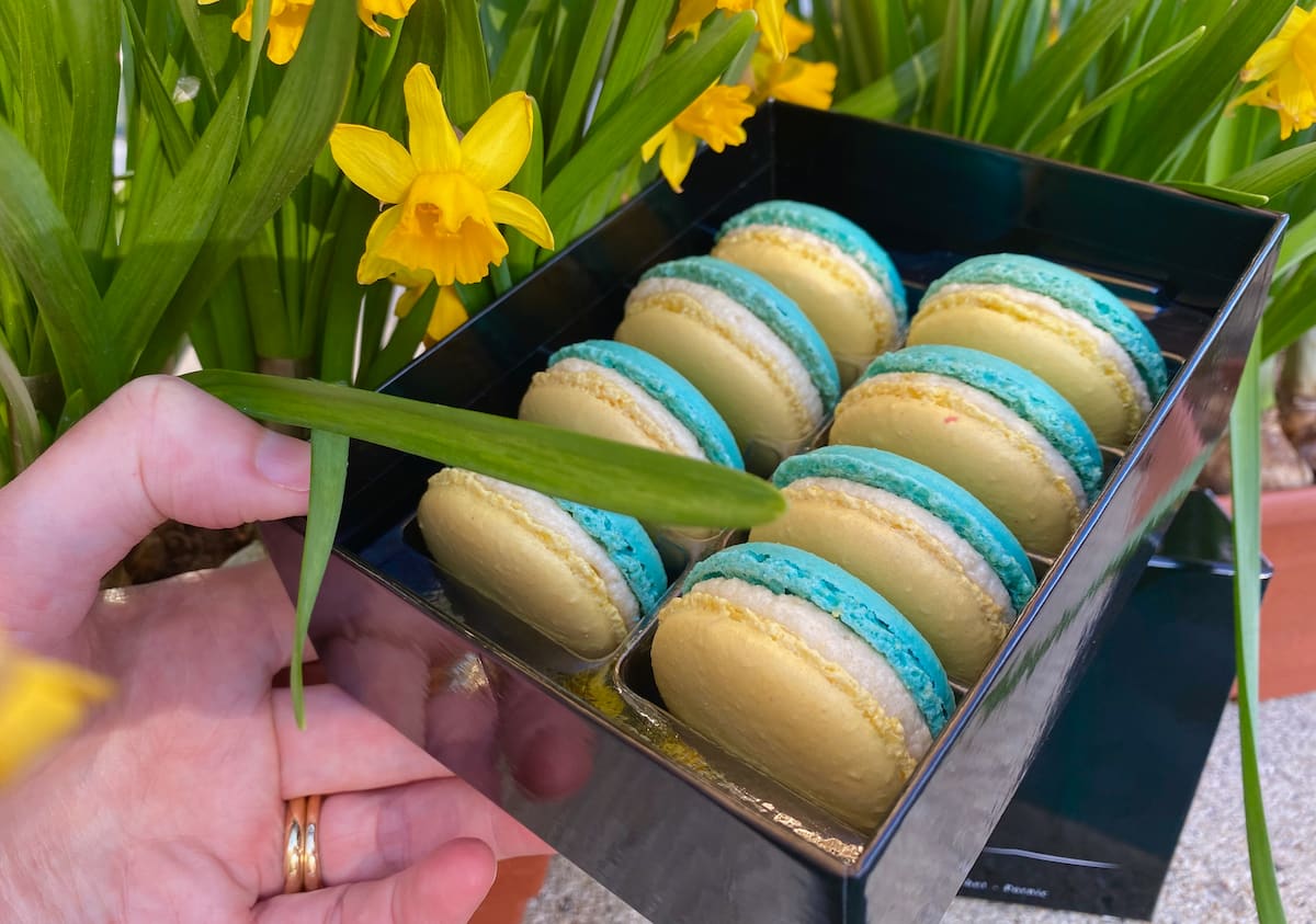 box of blue and yellow macarons