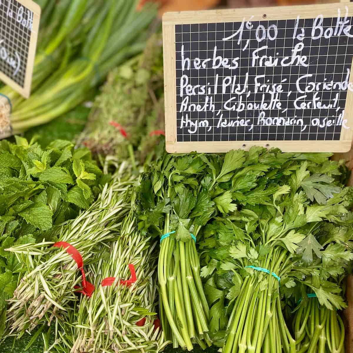 bunches of fresh herbs at the French market (with a sign in French saying herbes fraiches)