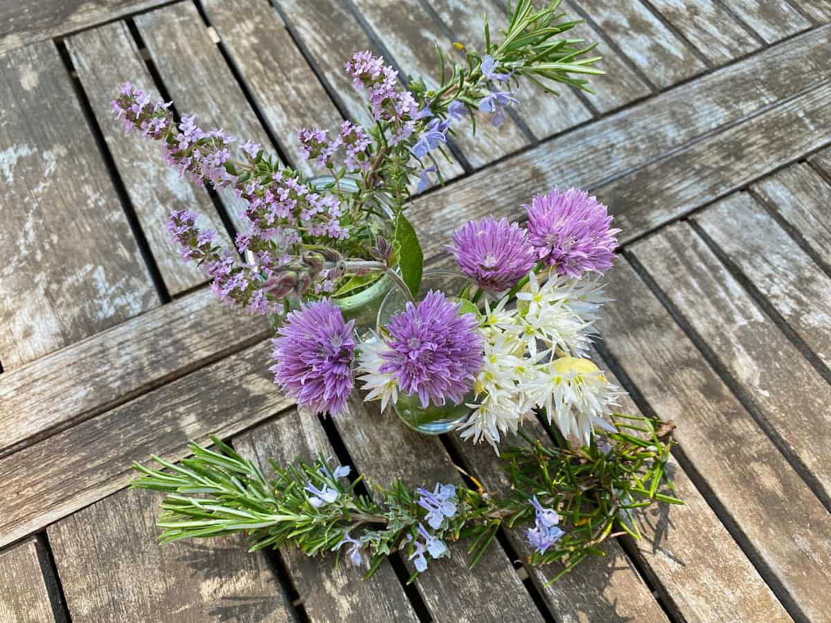fresh herb flowers in white and purple