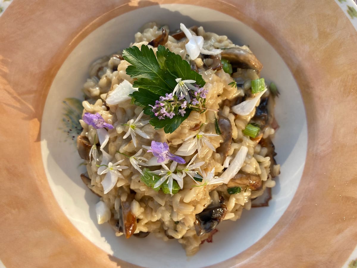 plate of mushroom risotto topped with white and purple herb flowers