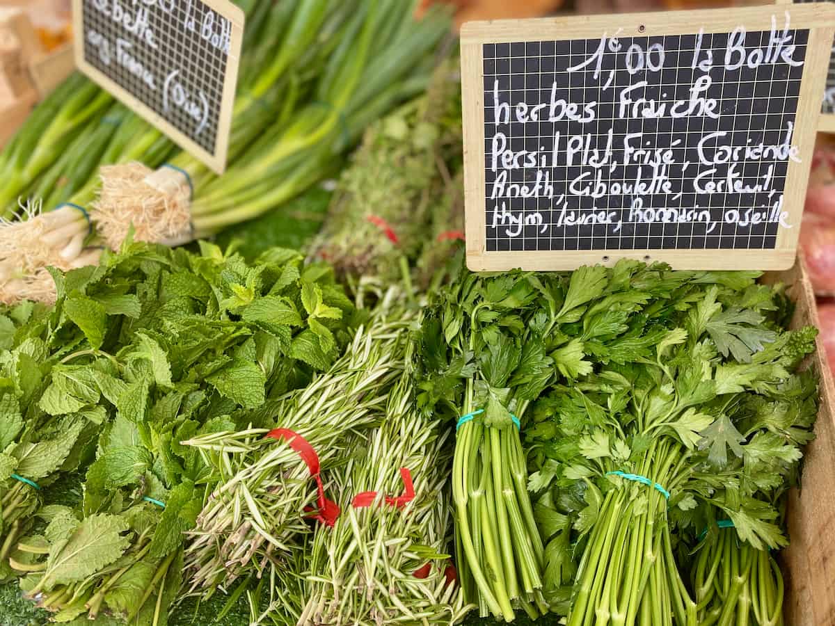 bunches of fresh herbs at the French market