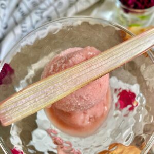 long wafer thin rhubarb chip on a bowl of sorbet