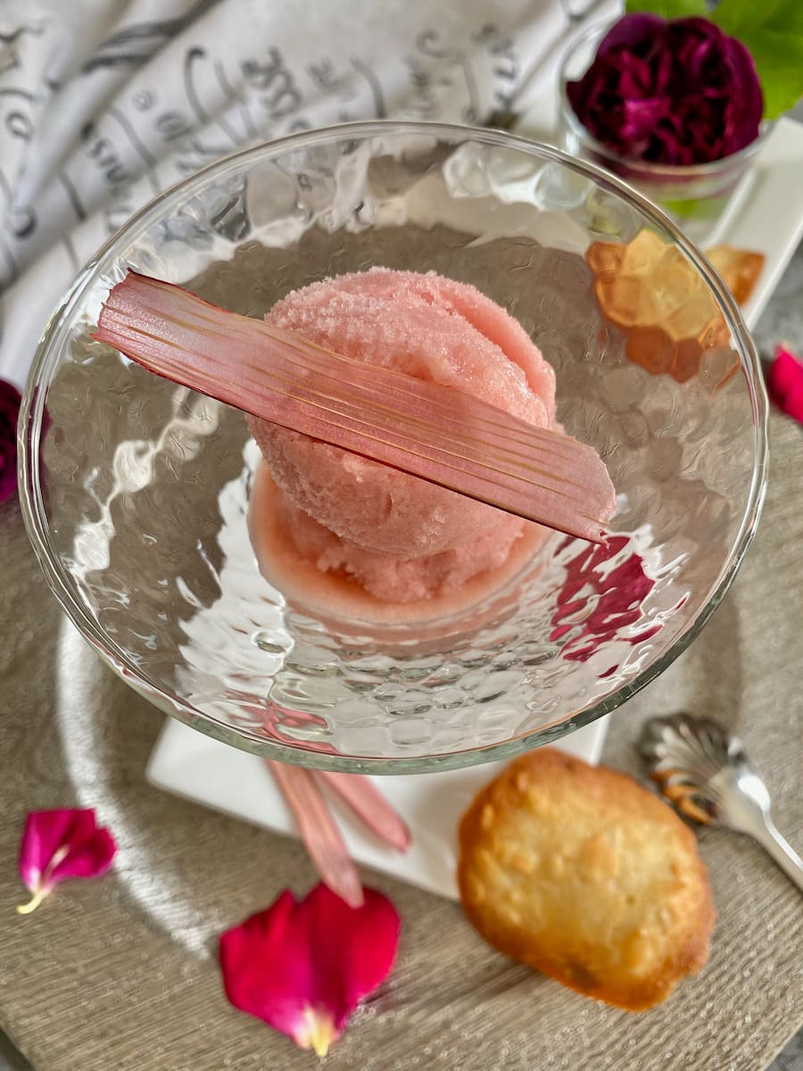 long wafer thin rhubarb chip on a dish of sorbet
