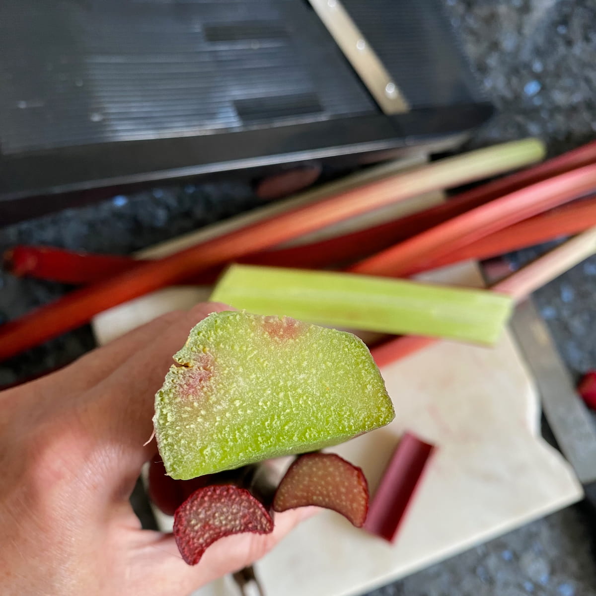 mandoline cutter with different sizes of rhubarb