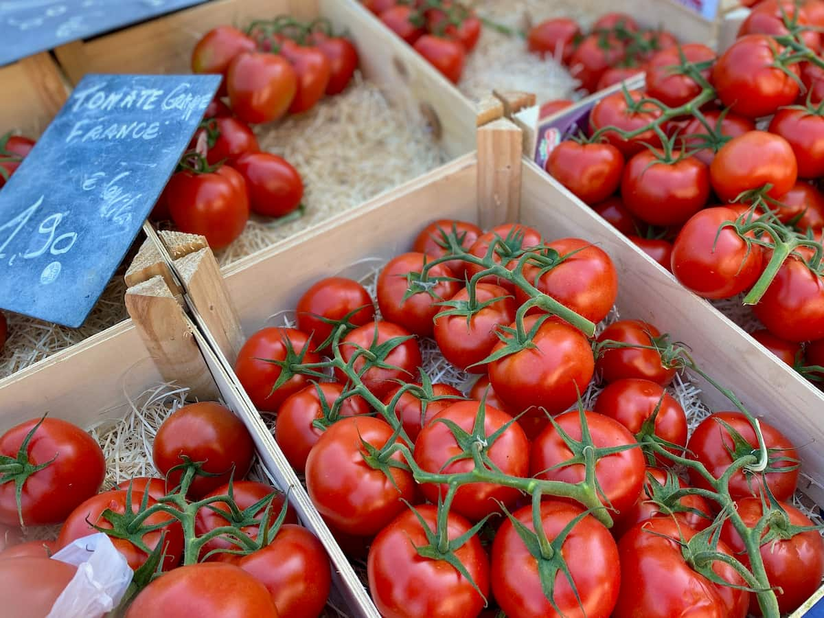 crates of fresh tomatoes on the vine at the market