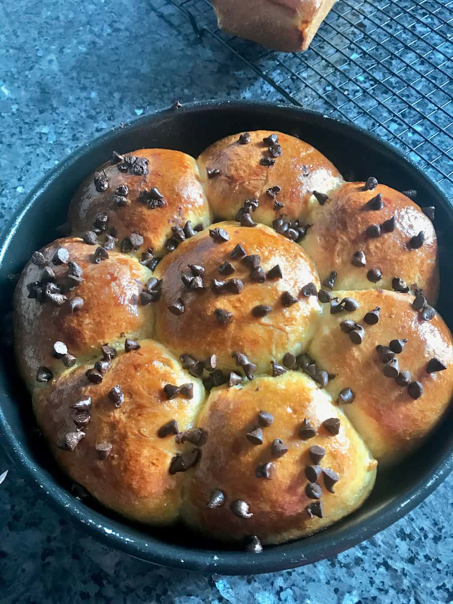brioche buns topped with chocolate chips in a cake tin