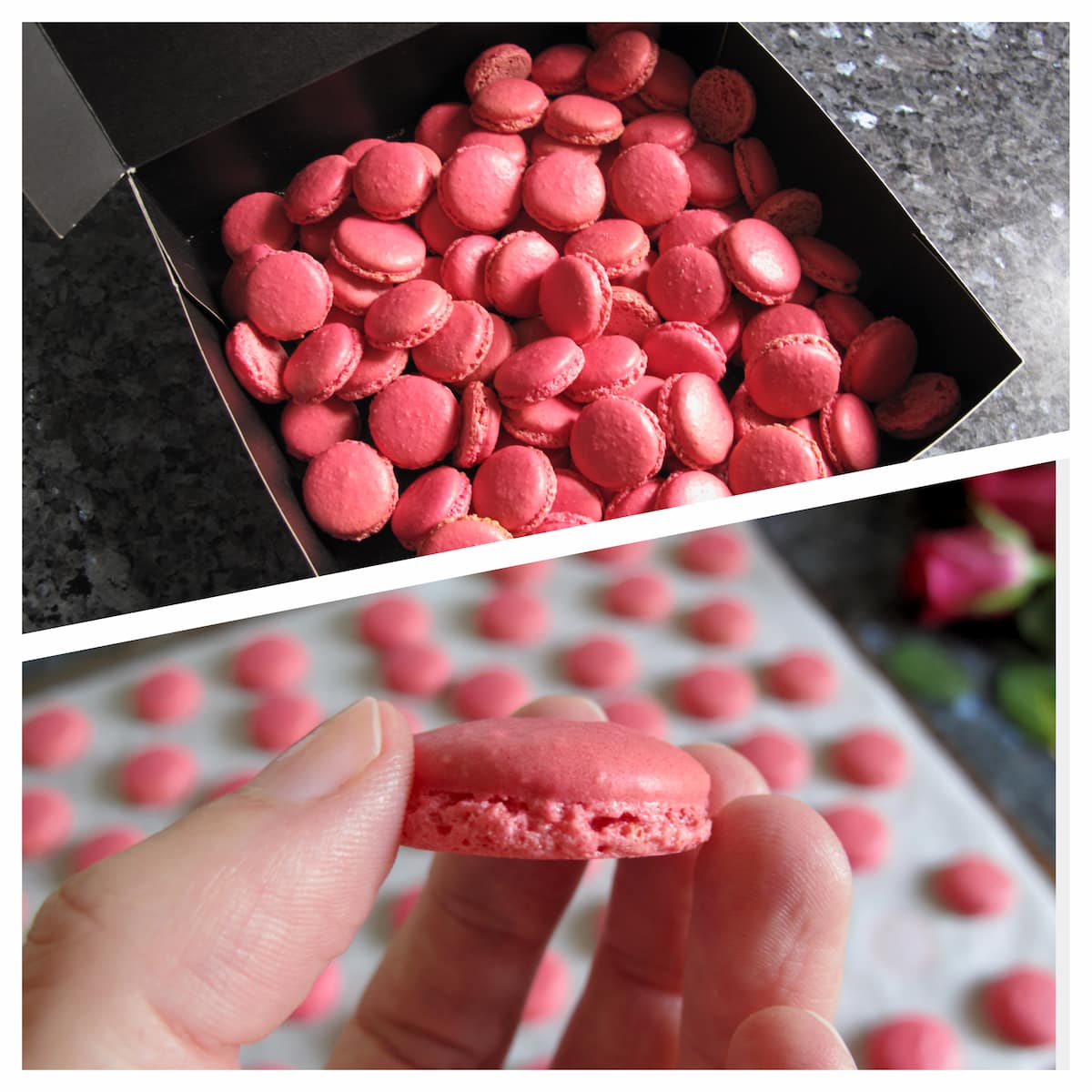 mini pink macaron shells ready to be filled with raspberry and white chocolate ganache filling