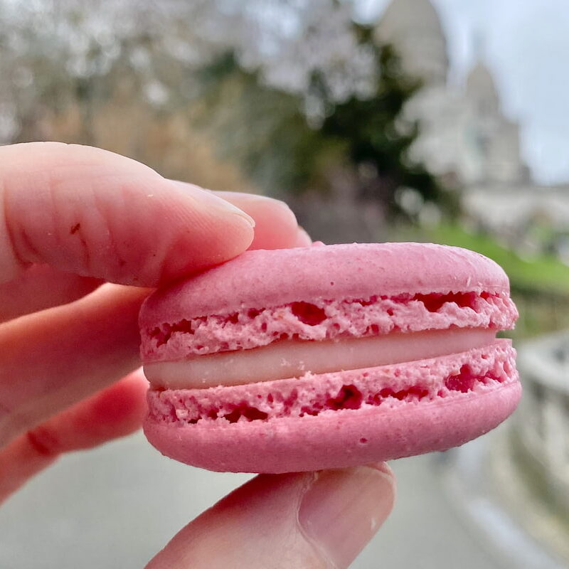 pink macaron cookie with ruffled feet