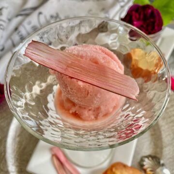 2 scoops of rhubarb sorbet topped with a dried rhubarb chip