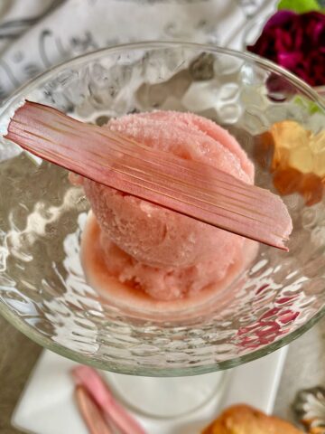 2 scoops of rhubarb sorbet topped with a dried rhubarb chip