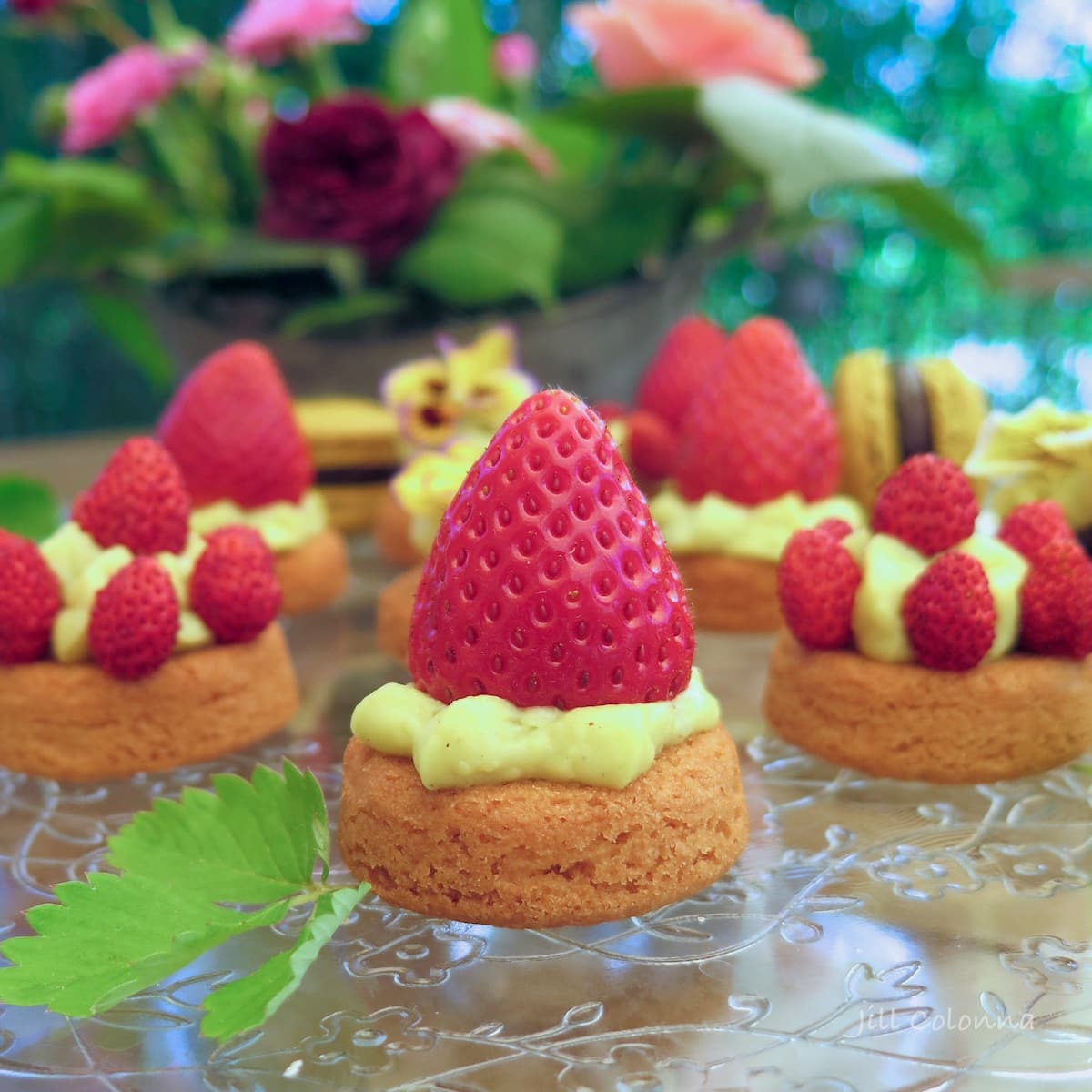 strawberries on butter cookies