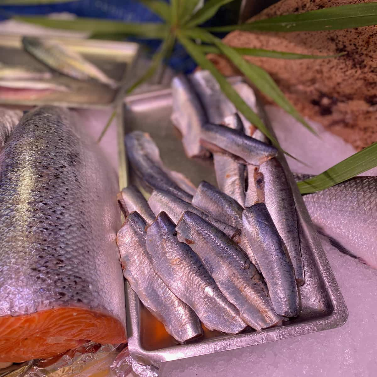 tray of prepared fresh sardines without heads or tails and cleaned of intestines