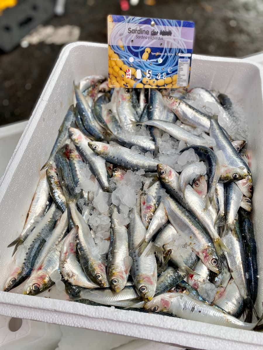 a box of whole, fresh sardines at the market, labelled 'Sardina pilchardus'