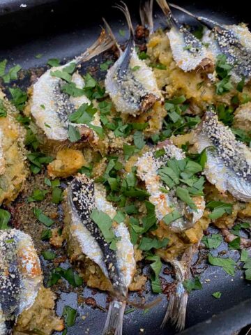 two rows of whole sardine fish stuffed together in a roasting dish with fresh parsley