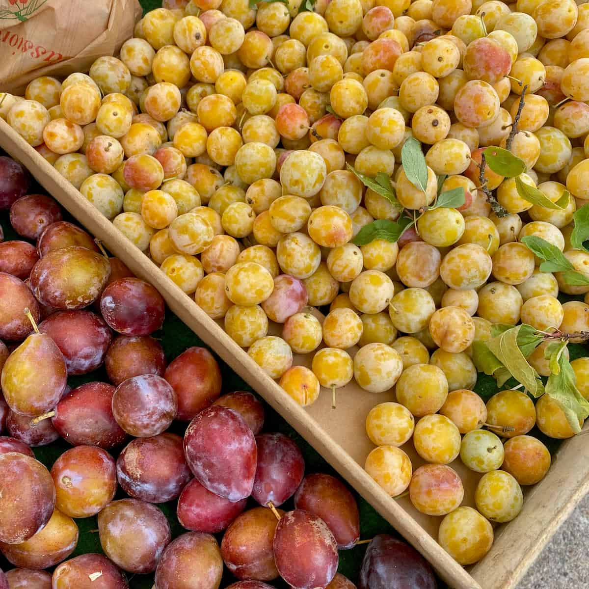 boxes of mini yellow plums known as Mirabelles in France, next to Ente plums