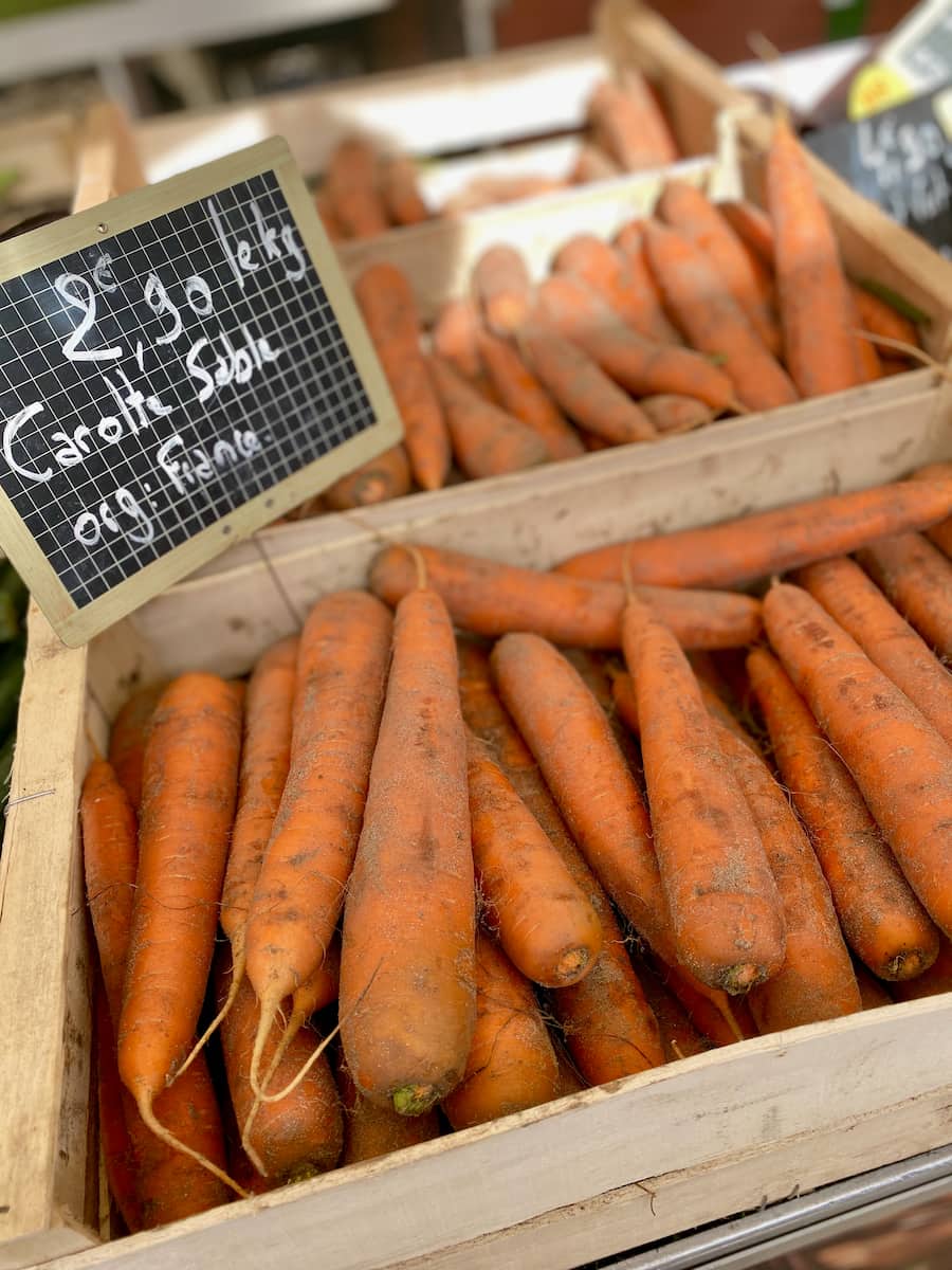 thick French carrots in crates covered  in sand