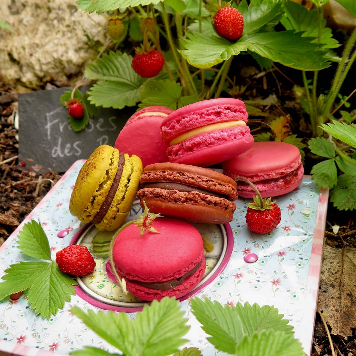 various different flavours of French macarons