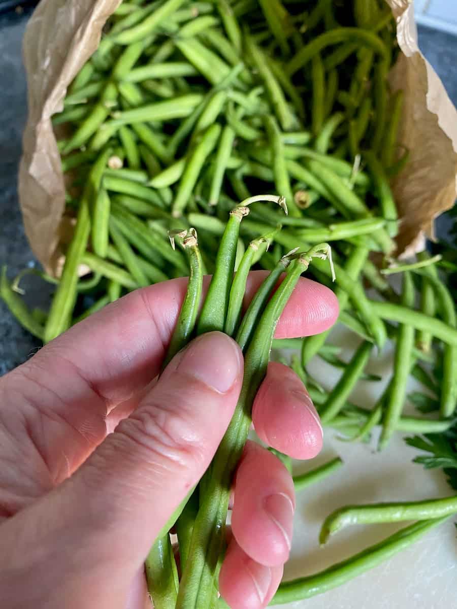 a large paper bag of green beans, holding them stems together to remove