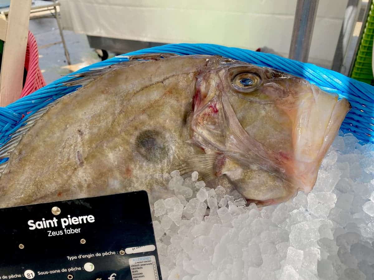 John Dory fish at the French market, with a sign, Saint-Pierre