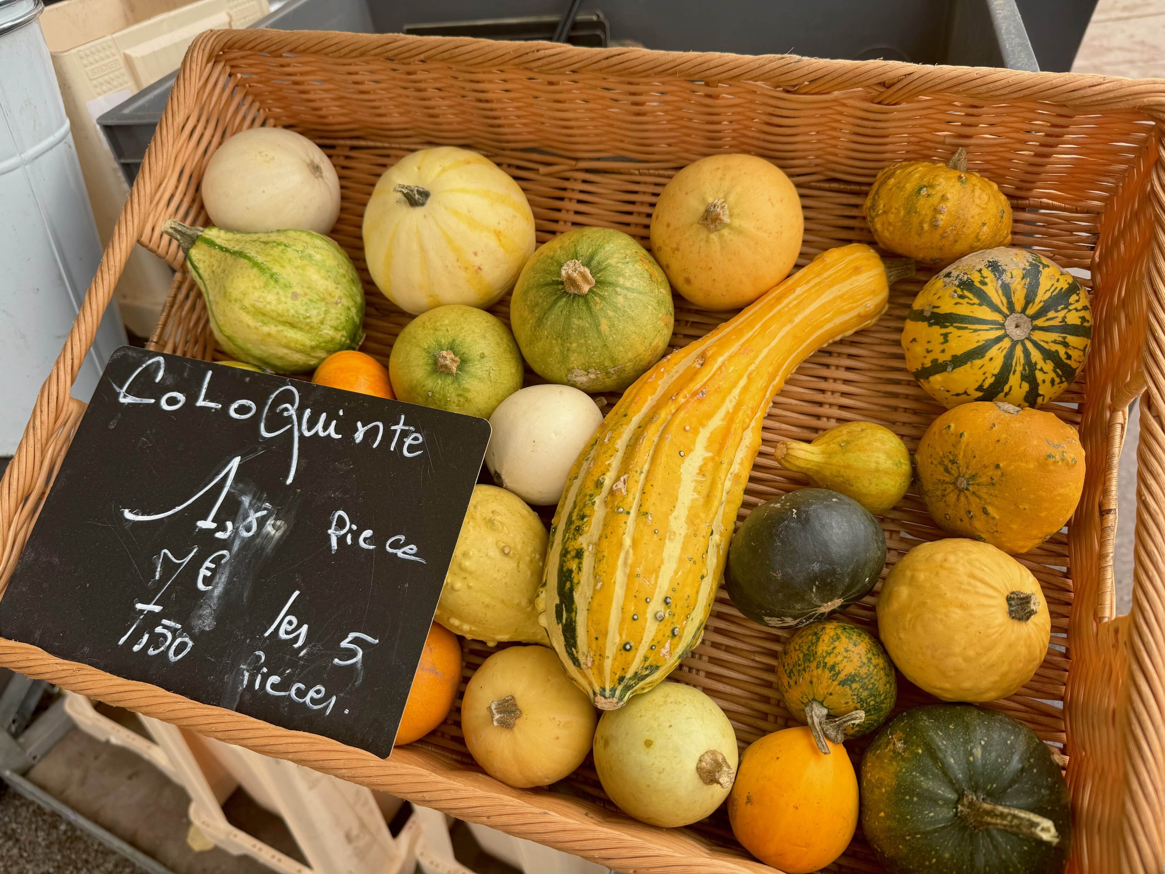 basket of different sized gourdes at the French market, labelled coloquinte