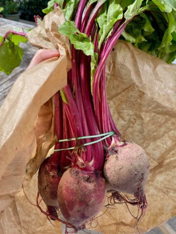 beetroot with stalks and leaves