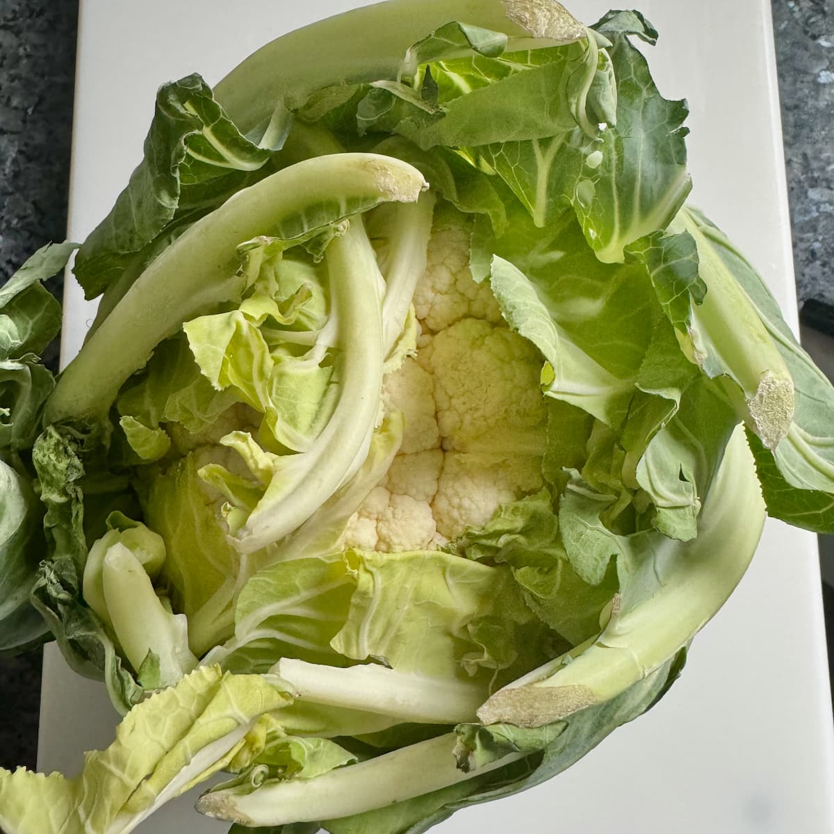 whole head of cauliflower covered in large outer leaves